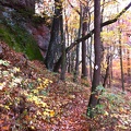 Sheltowee Trace, Clear Creek Furnace - 13